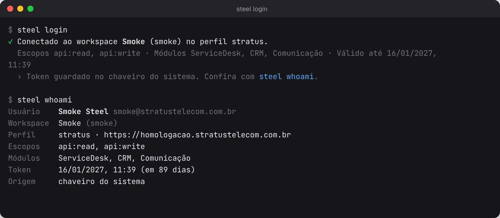 Terminal com o steel login mostrando o código de confirmação e, em seguida, o steel whoami com o usuário, o workspace, os escopos e a validade do token